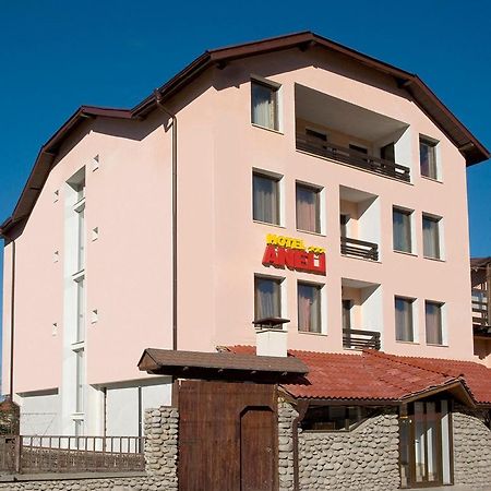 Aneli Hotel بانسكو المظهر الخارجي الصورة
